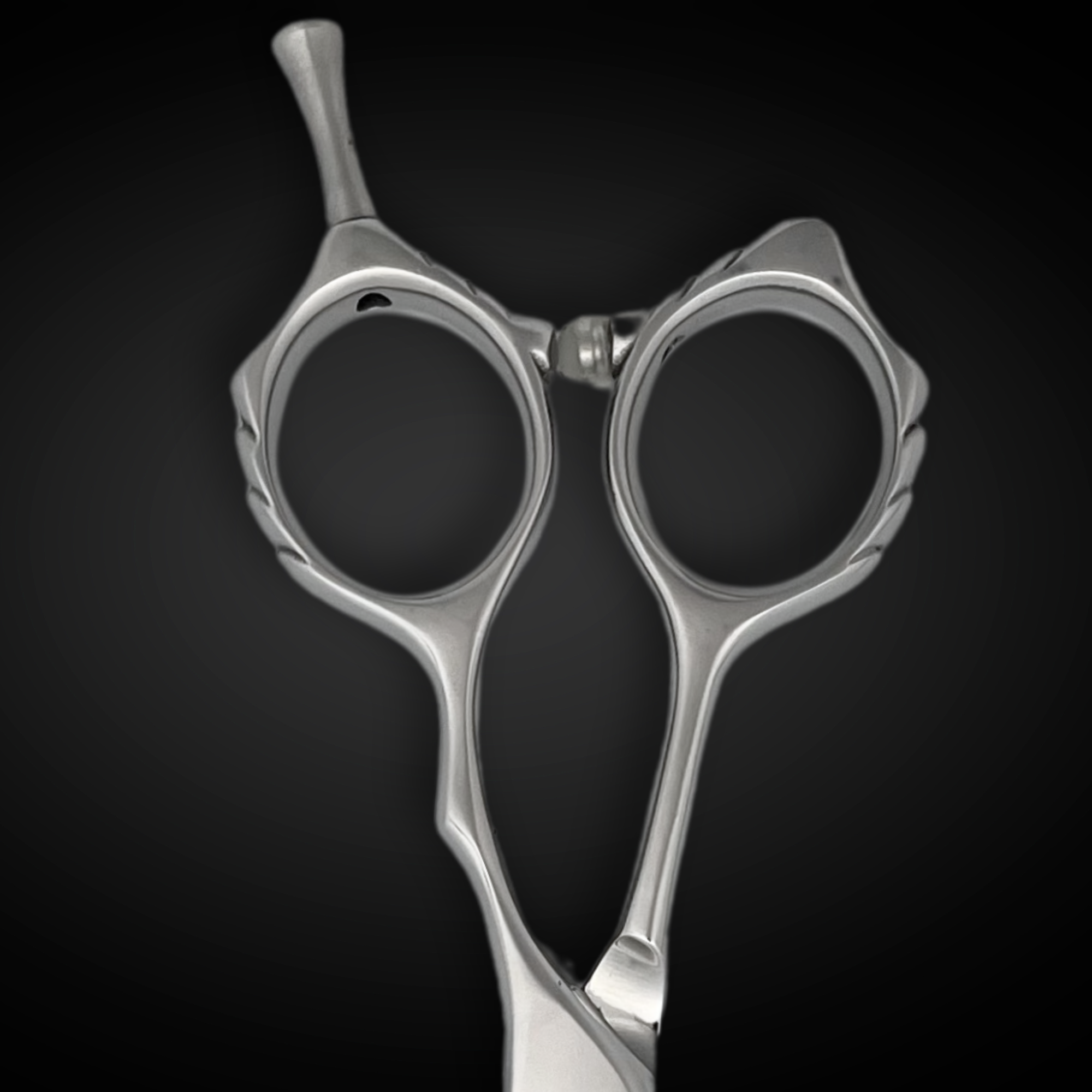 6.0" Hair Cutting Shears - Brilliance